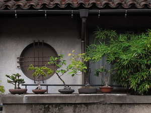 Tokyo Plant Pots (YaNeSen002) 東京植木鉢