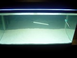 2005032690.jpg