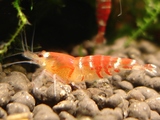 9b8ae220.JPG