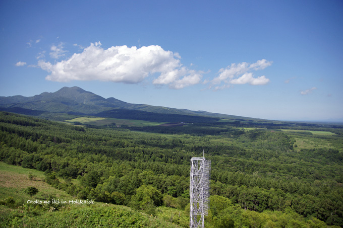 1126-3空と山