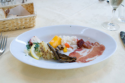 アンティパストミスト