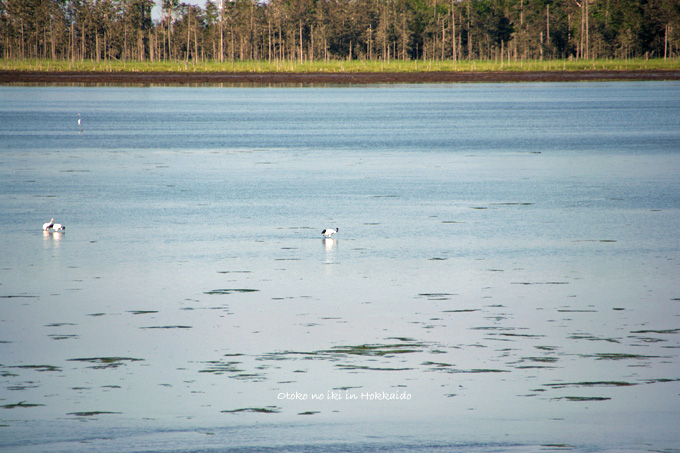 1130-2風蓮湖