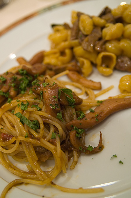 ELIO LOCANDA �i������j���N�̉ۑ�