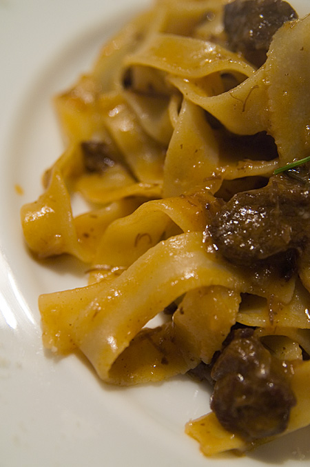 鹿タリアテッレ寄