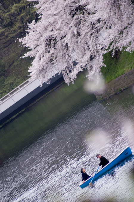 �璹�����{�[�g�c