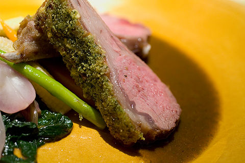 ����ӥ����Ӳ�