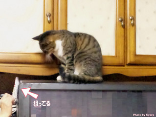 20091027-003