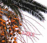 20071116-10