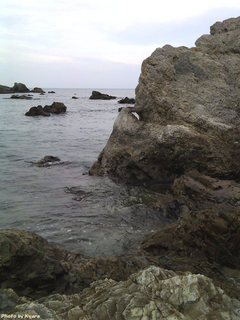 20091025-022