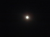 ̾���
