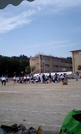 28e3d685.jpg