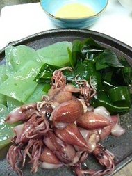 �ۤ��뤤���ȻɿȤ���ˤ㤯���̣����