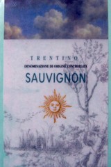 SAUVIGNON