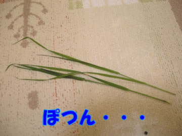�����˾����ʤ��ä��ͻ�