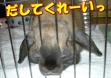 �Ϥ䤯������