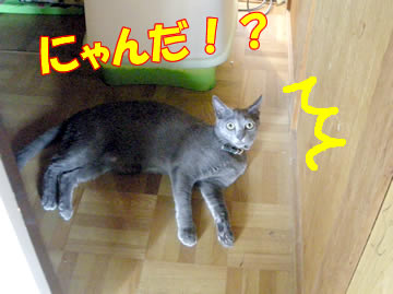 ¤Ó¤Ã¤¯¤ê¡ª