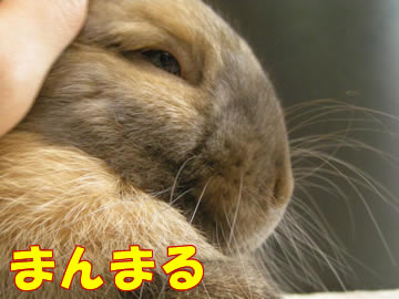 ���������ʤä��͡�