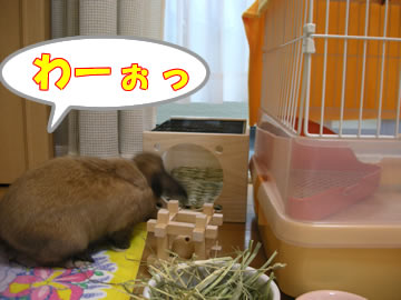 ���äƤ⤤����