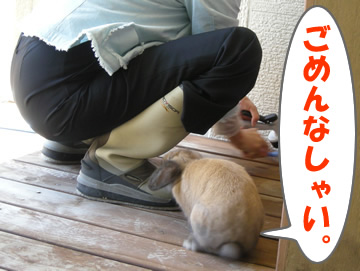���Ӥ�ޤ���