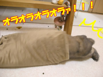 �������Ƥ�롪����