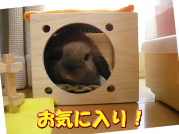 �Ԥä�����衪