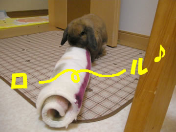 ī�Τ�ͷ�Ӣ�