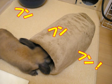 Â綽ʳ¡ª¡ª