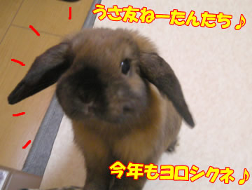 ��ǯ����������