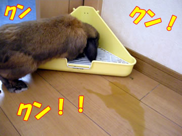 DSCN4382