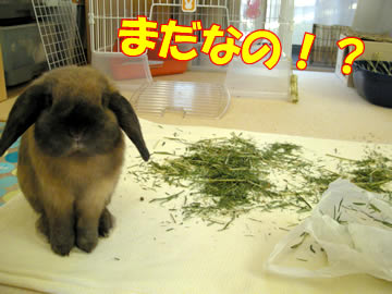 ¤¬¤Þ¤ó¤Ç¤¤Ê¤¤¤è¡ª