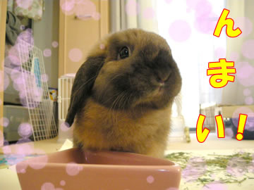 ¥µ¥¤¥Ã¥³¡¼¡ª