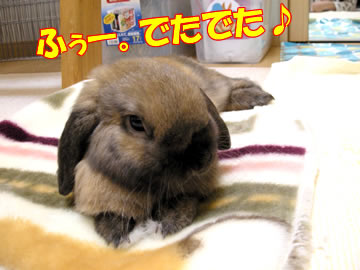 ¤«¤é¤Ã¤Ý¢ö