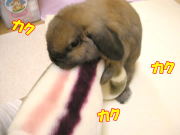 ̴�桪