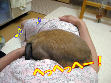 ¤³¤³¤¬¤¹¤¡ª