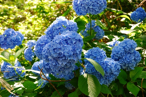 信貴生駒スカイライン