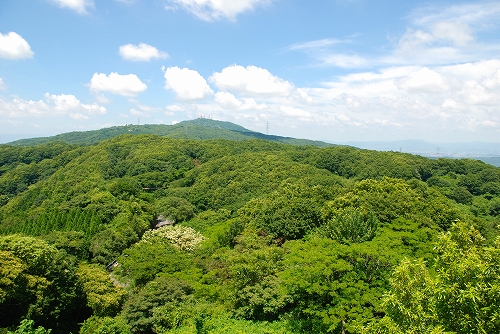 信貴生駒スカイライン