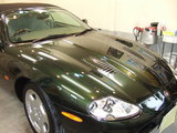 �W���K�[�w�j�q 20070711