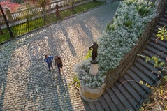 SDIM0610