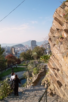SDIM0769