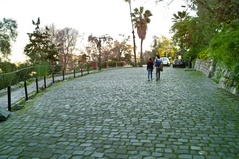 SDIM0775