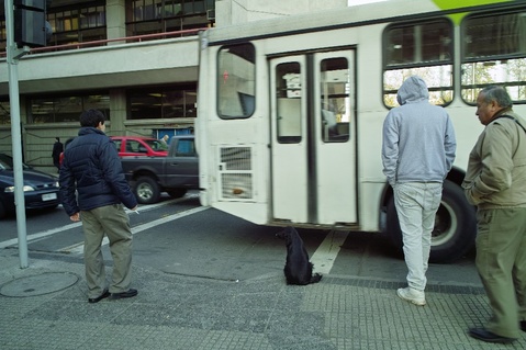 SDIM0461