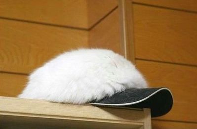 ���˵��뤳�Ȥ�ͽ�ۤĤ��ʤ��̿�03