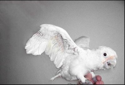 ���ޤ줿�ƤΥ�����19