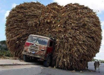 無茶な荷物11