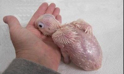 ���ޤ줿�ƤΥ�����07