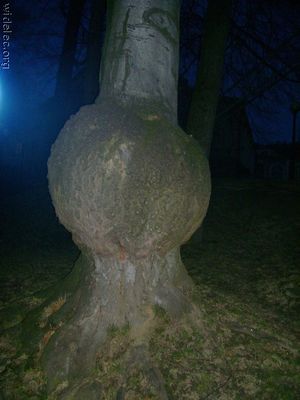 ������01