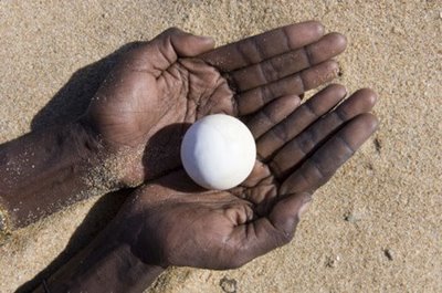 �񤫤�Ҥ�ä�����Ф���ˤȳ�������֤����06