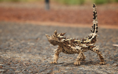 ������ȥ���05