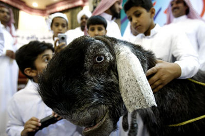 ����ʤ˽����Τˡ֤�äȤ��������ޡפ򾡤��Ȥä��䥮04