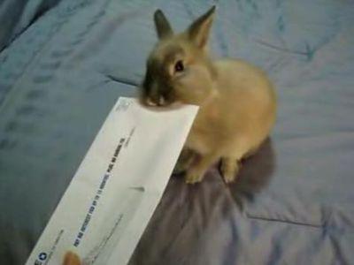 �����줫�襤���쥿�������ץʡ�